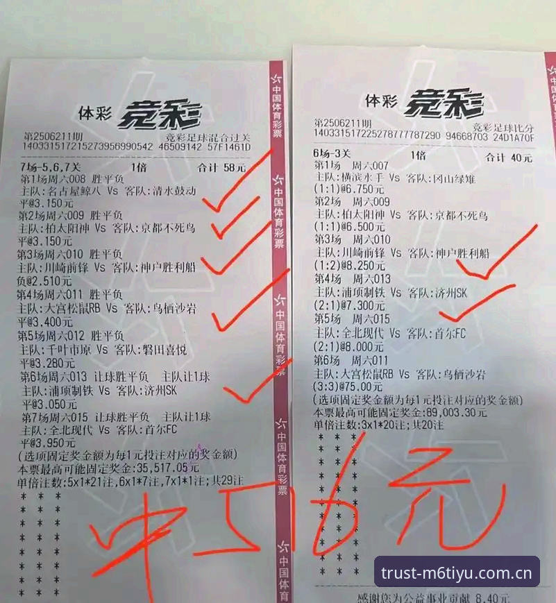 实战派分享：M6体育在线投注攻略，这些数据才是真正的胜负手