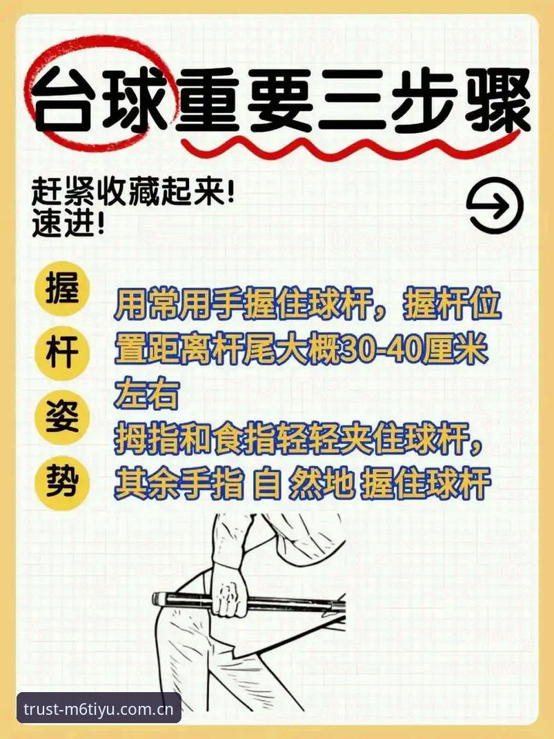 M6体育平台深度评测：新手必看的使用教程与实用技巧全攻略